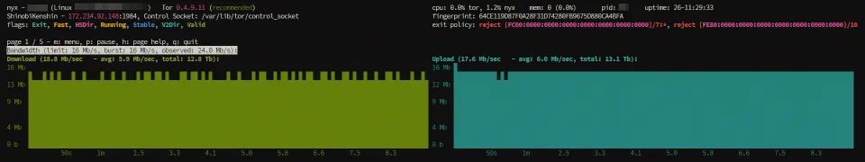 Nyx monitoring ShinobiKenshin with aggregate bandwidth, uptime, consensus flags, fingerprint, and exit policy