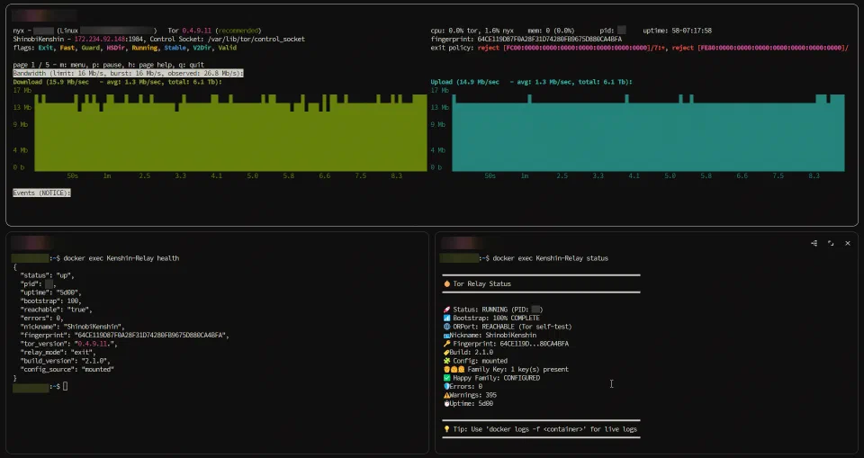 Nyx showing ShinobiKenshin bandwidth and consensus flags above JSON health output and a human-readable status summary